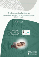 The human visual system as a complete solution for image processing