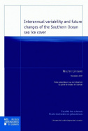 Interannual variability and future changes of the Southern Ocean sea ice cover